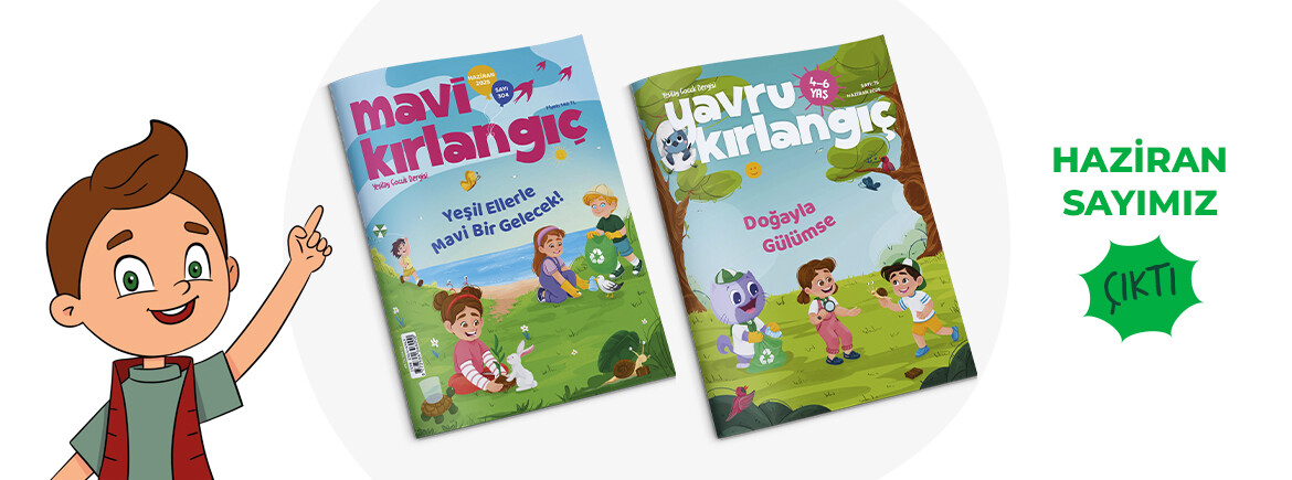 Mavi Kırlangıç Dergisi (1)