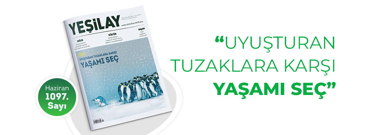 Yeşilay Dergisi (1)