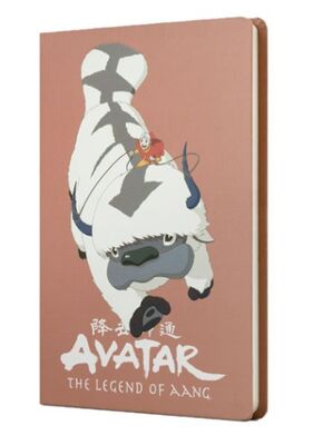 Avatar Appa ve Aang Temalı Puce Renkli Sert Kapak Butik Defter