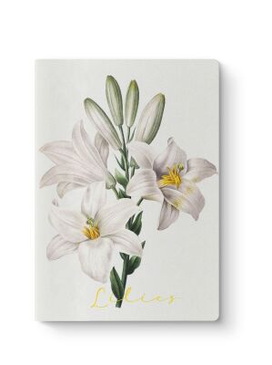 Botanik Serisi 3'lü Defter Seti - 6