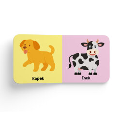 Mini Mini Keşifler - 8